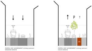 Pasted Graphic 2.jpg